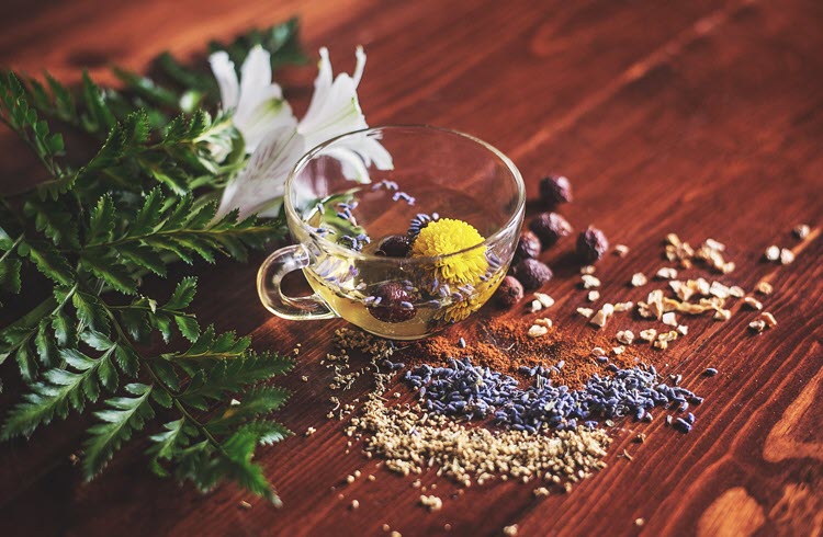 Herbal Medicine - Tea Cup with Herbs